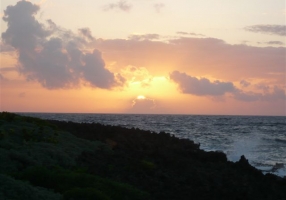 Roatan April 2010 076