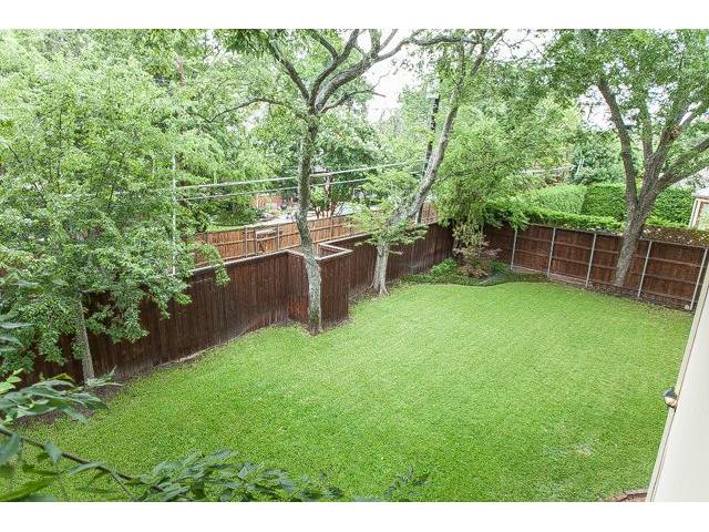 6511 Mimosa yard