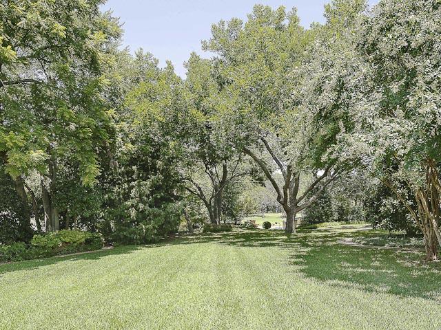 9700 Audubon yard