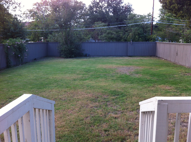 8919 Forest Hills Backyard