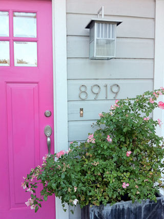 8919 Forest Hills Numbers
