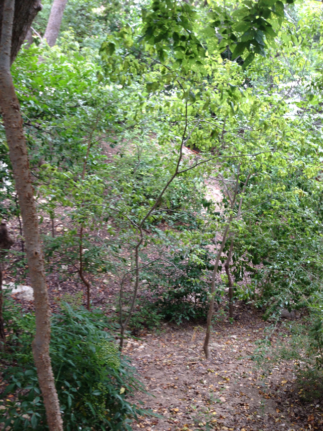 The lot for McGarry's new home has a dry creek bed running through the back.