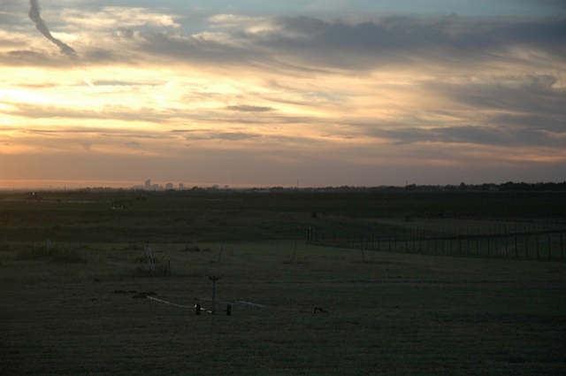 Midland skyline