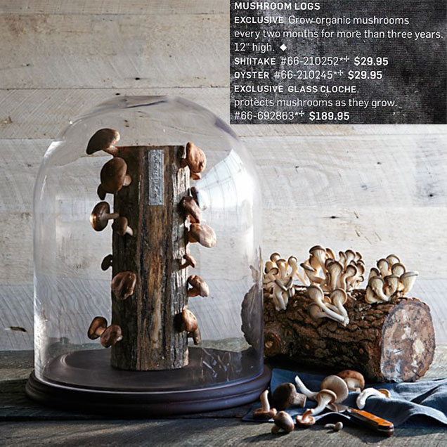 mushroom logs