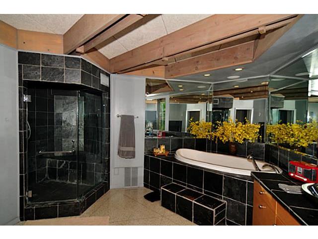 9729 Van Dyke Master Bath 2