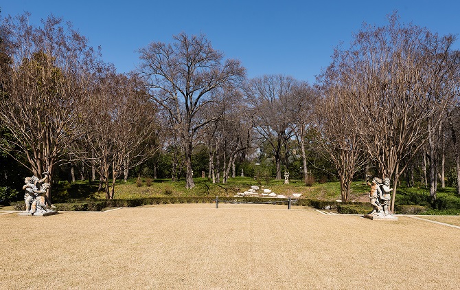 Hicks Grounds- Rear Garden Looking North