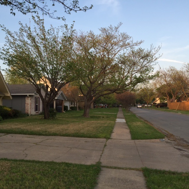 LBJ House hood