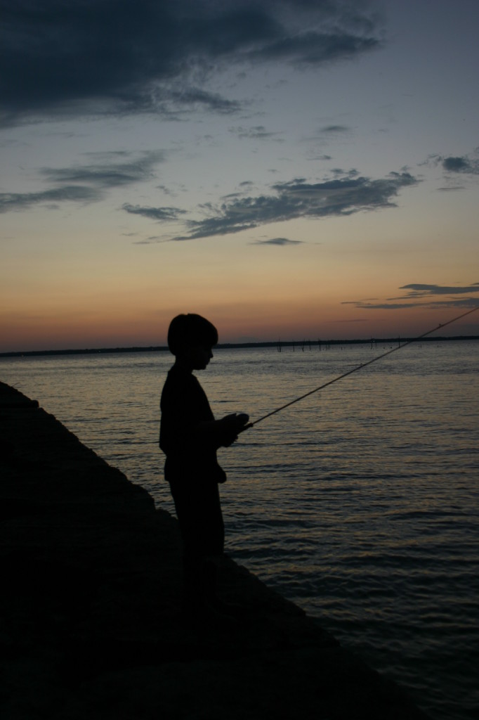 image008
