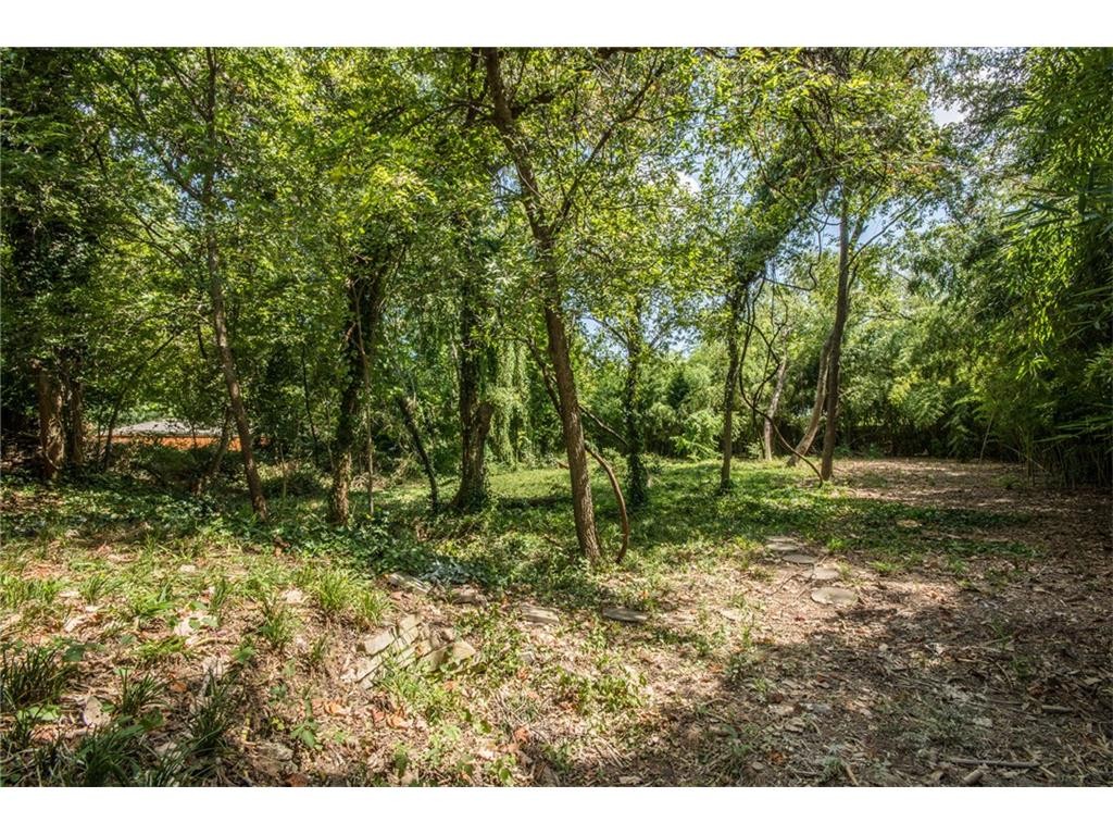 10225 Betty Jane Lane yard