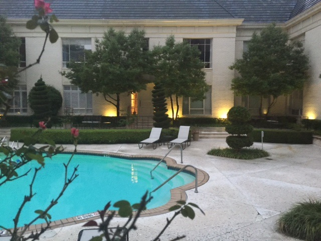 Jane McG pool pic