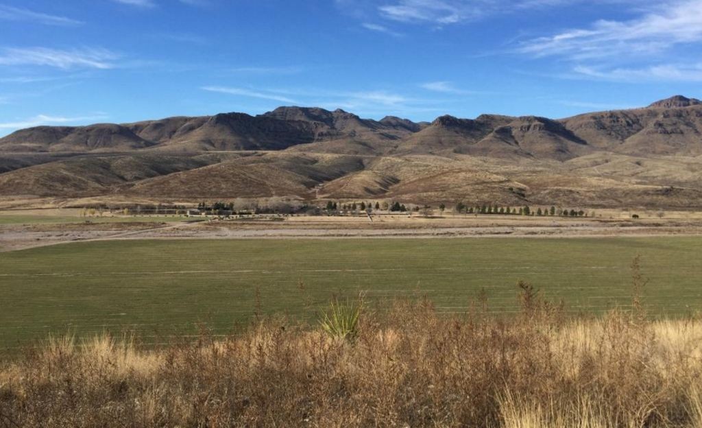 Ciobolo Creek vista