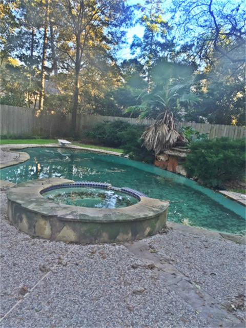 Willow wood 3 pool