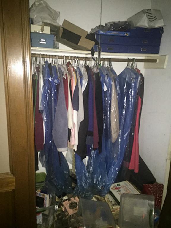 Willow wood closets