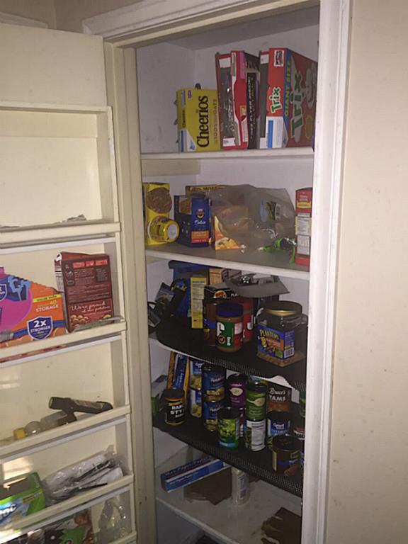 Willow wood pantry
