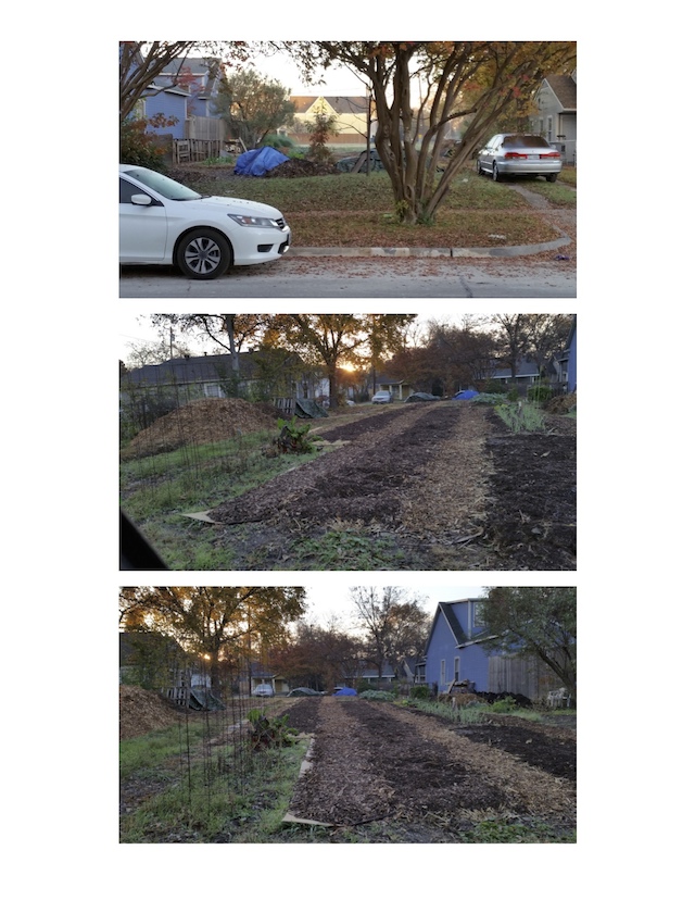 Yard Pictures