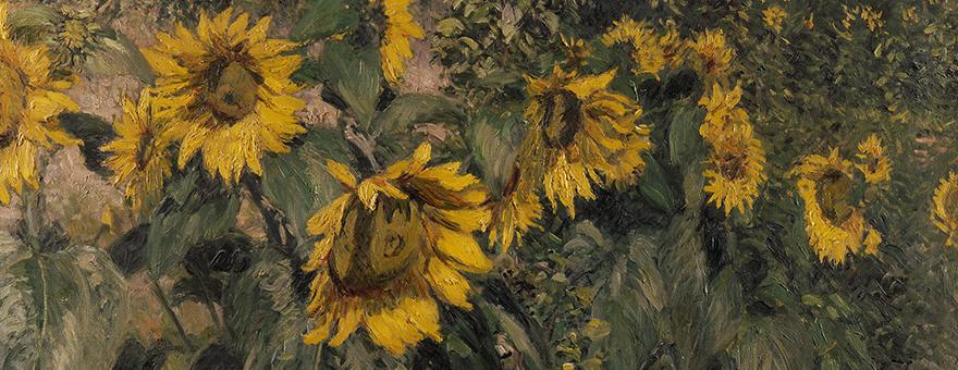 sunflowers_slider