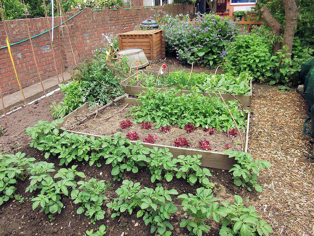 urban farms