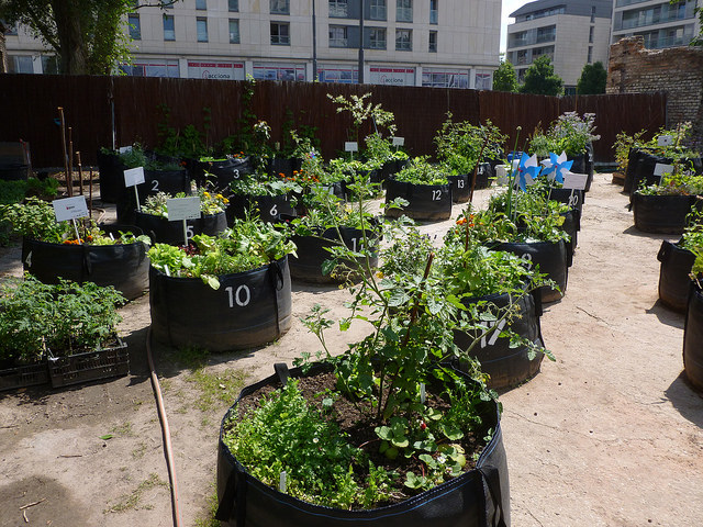urban farms