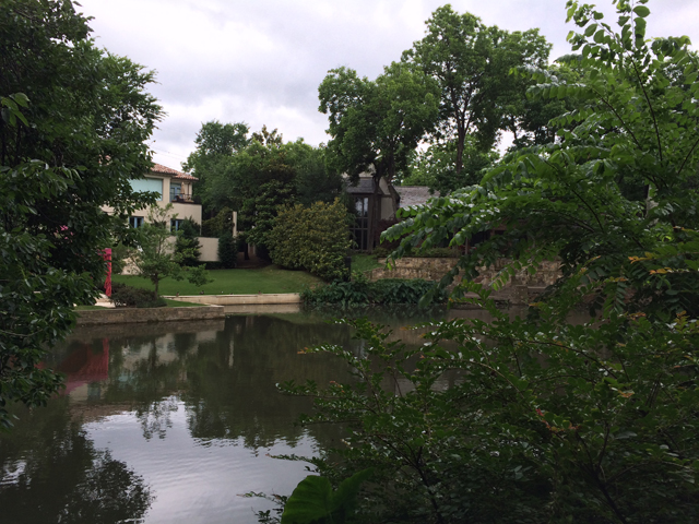 View across Turtle Creek