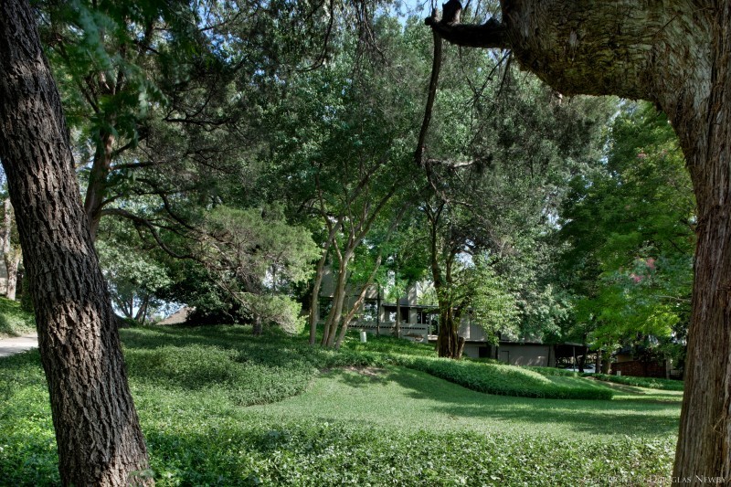 Can't see the house for the trees? That's privacy!