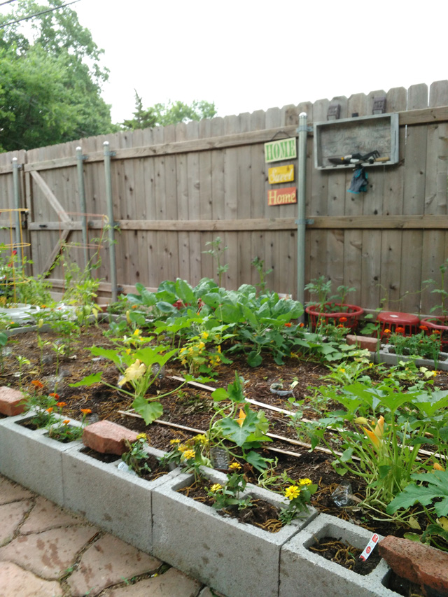 Behar's garden is a wonderful sight in summer, but some potential buyers have called her backyard "too bright."