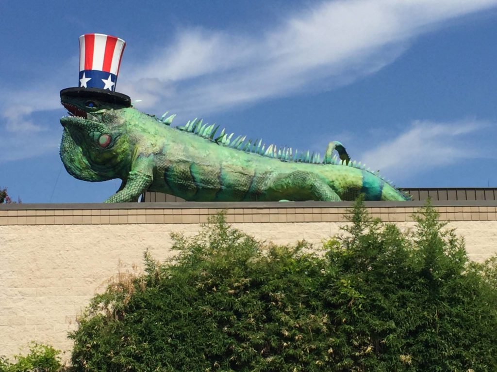 FW Iggy Happy Fourth