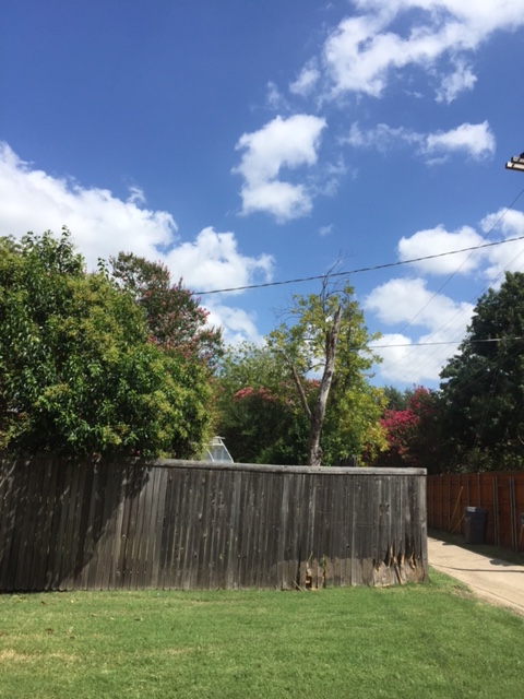 Messed up wood fence