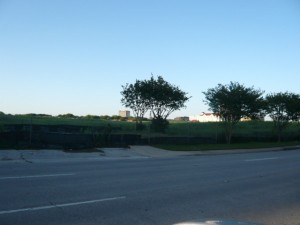 WalnutHill & Central 2009