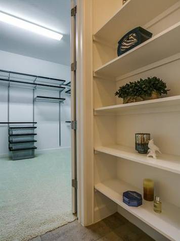 3210 Carlisle master closet
