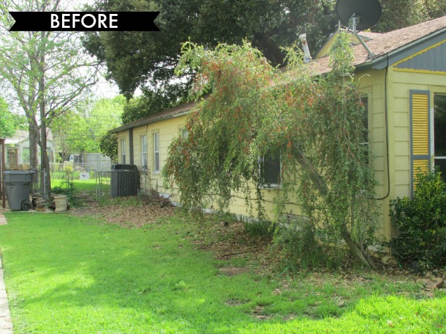 Elmwood before b