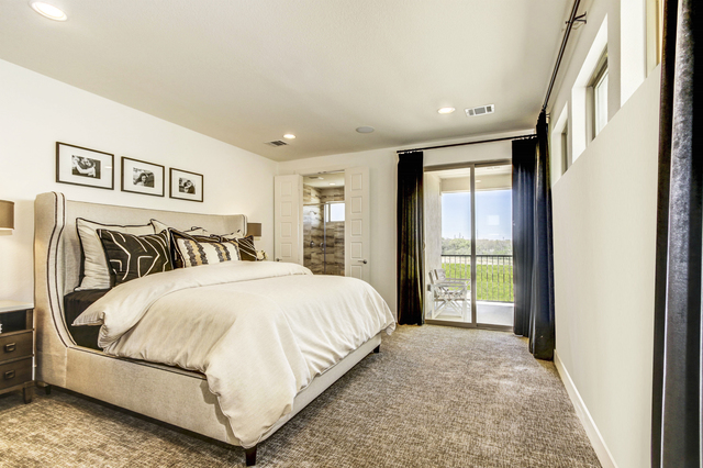 8284 Laflin Lane_Meredith_Merion at Midtown Park031_owners suite