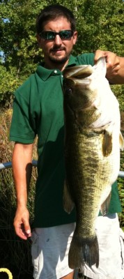 2011 record bass