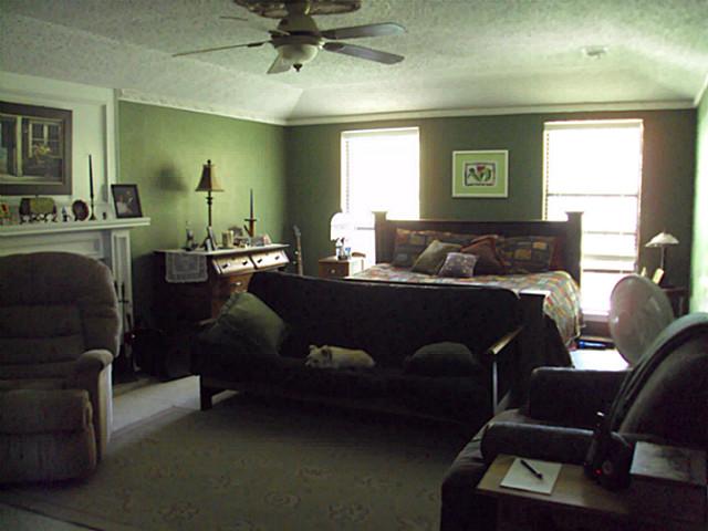 MasterWithFireplace