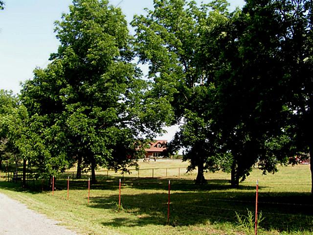 ViewofHouseFromPasture