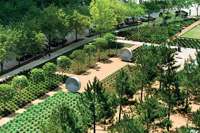 Discovery Greens by Mary Margaret Jones