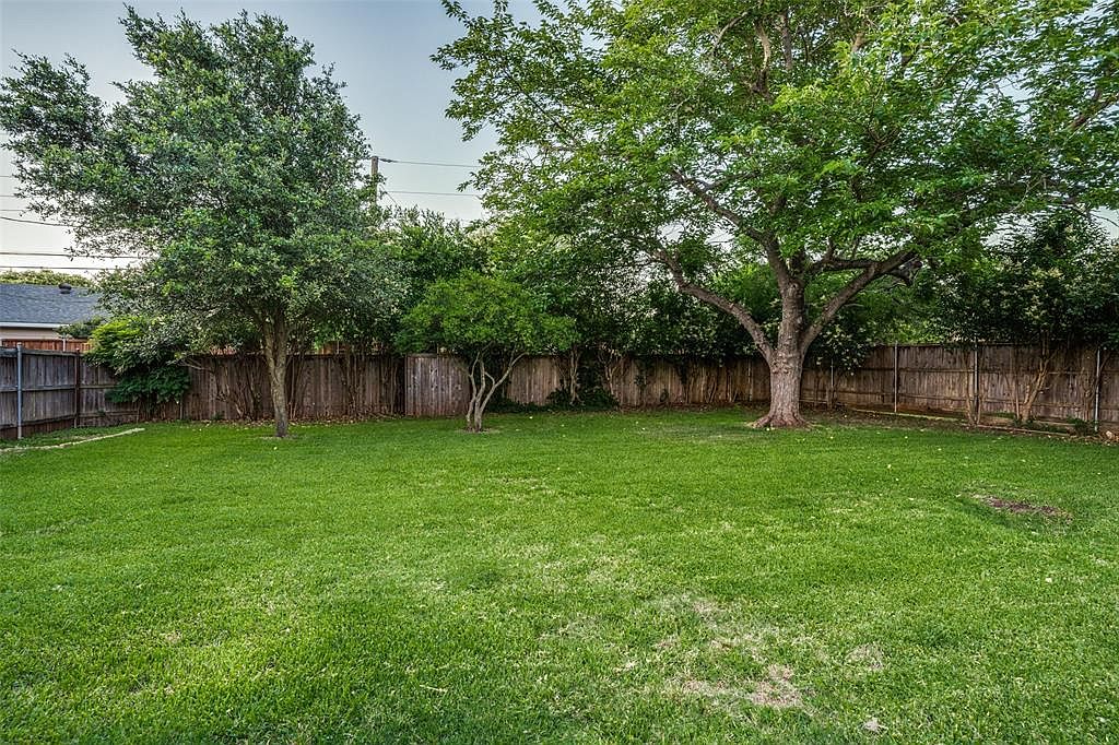 The lawn