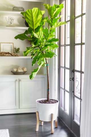 ML Interiors Group