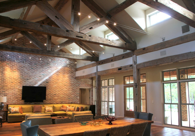 forever home