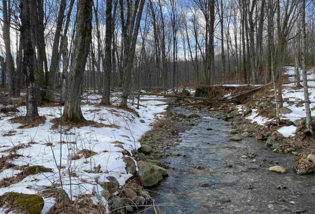 vermont