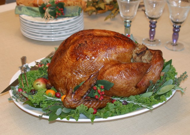 Talk Turkey To Me!