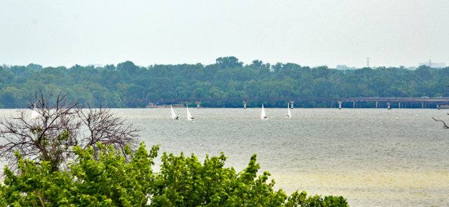White Rock Lake Winfrey Point