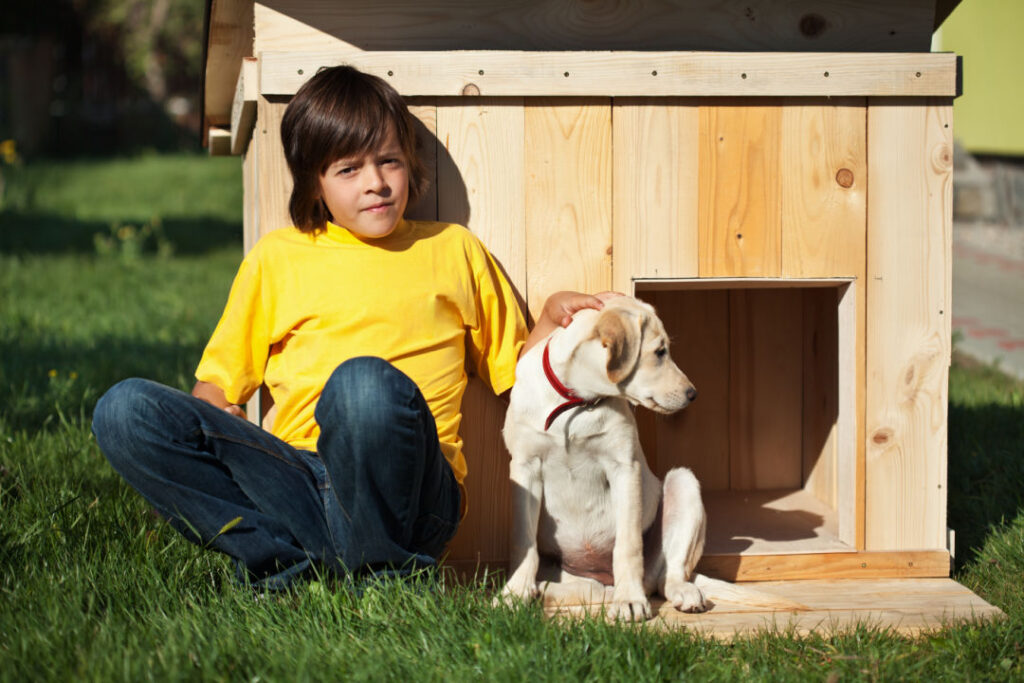 doghouse