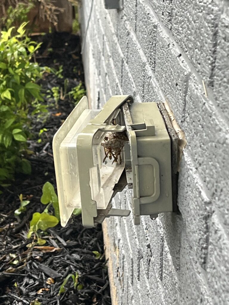 summer in North Texas