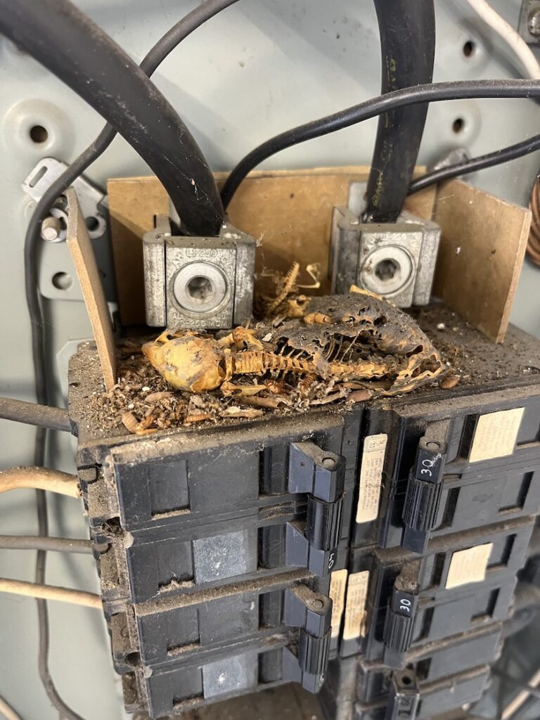 electrical panel