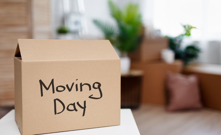Curtis Specialized Moving & Storage