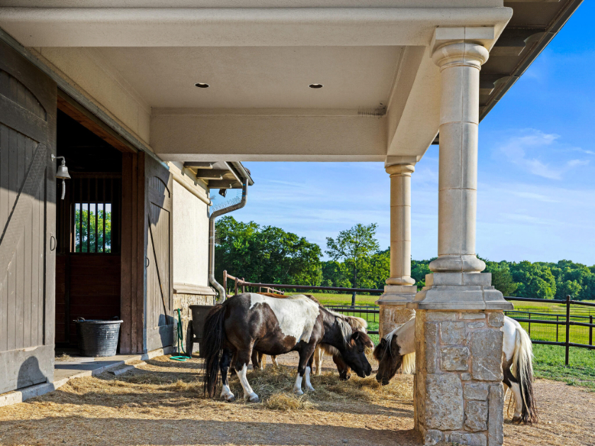 Paradise Ranch