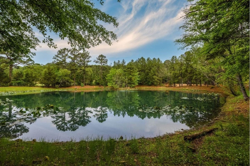 Timber Ridge Estates