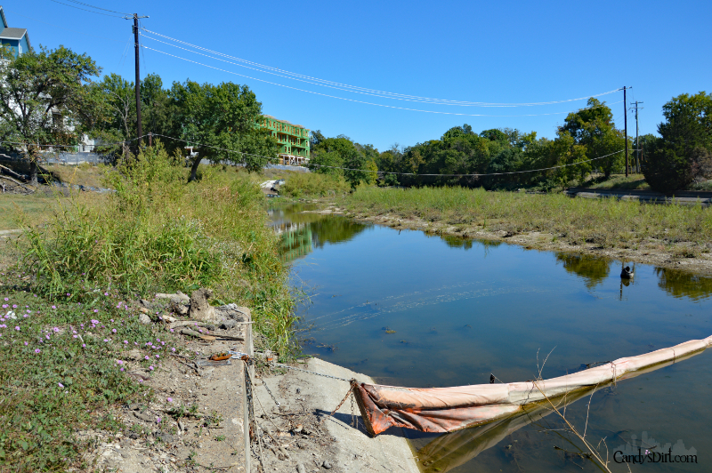Bachman Lake Park, Northwest Dallas, Greenbelt