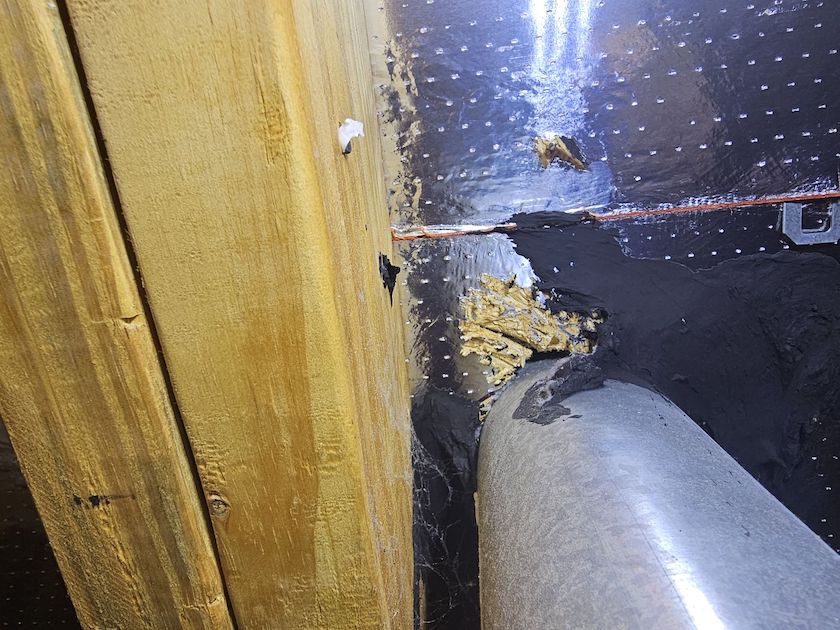 mice trying to exit attic