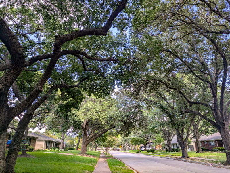 Arapaho Heights, Heights Park, Richardson